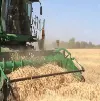 Отзыв о платформе-подборщике валков
